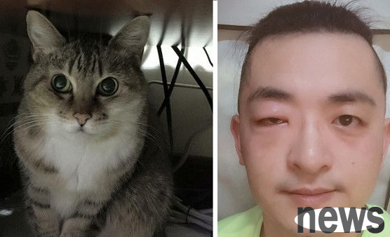Seriously allergic to cat hair, and still protects cat lovers for 21 years